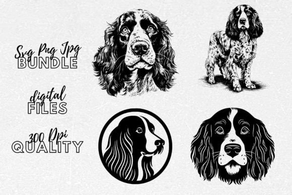 English Springer Spaniel SVG - Dog Art