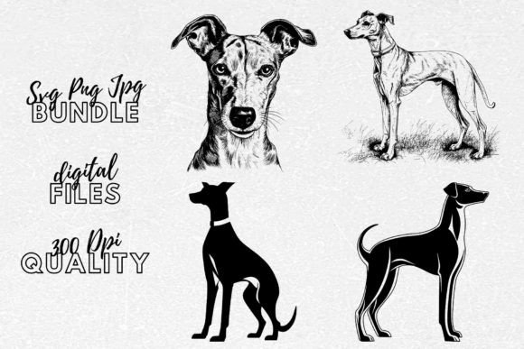 Whippet SVG – Whippet Dog Clipart